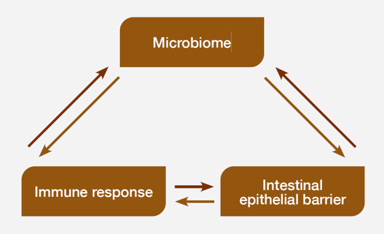 microbiome colonization resistance